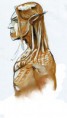 /album/dessin/elfe-elementaire01-jpg/